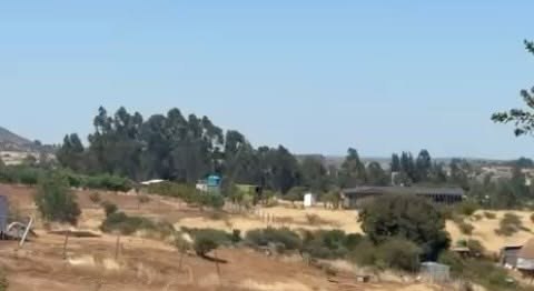Vista de una parcela en Litueche, con árboles y cerros al fondo