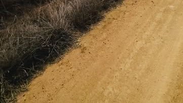 Camino de maicillo junto al cerco de una parcela en Litueche