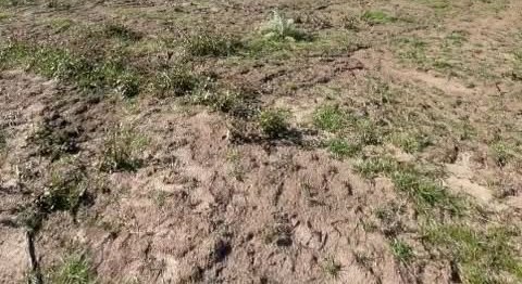 Terreno de una parcela en Litueche, con cerco y casas al fondo
